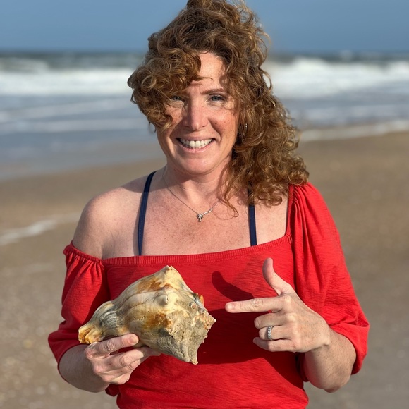 Christmas Advent Countdown Set of 12 Oyster Shells 🎁Wrapped Gives Back🎗️ - Picture 8 of 10